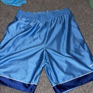 Nike Royal Blue Mesh Shorts